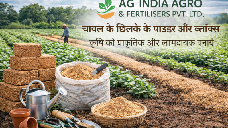 राइस हस्क पाउडर और ब्लॉक्स: आधुनिक कृषि और गार्डनिंग के लिए प्राकृतिक समाधान