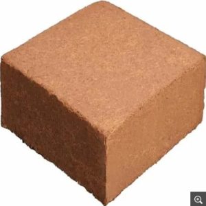 Cocopeat Blocks
