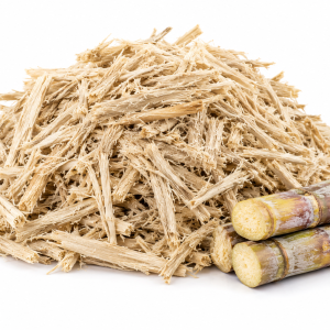 Sugarcane Bagasse